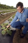Drewry Farm & Orchards